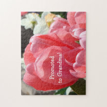 Aankondiging van zwangerschap bij grootmoeders puz