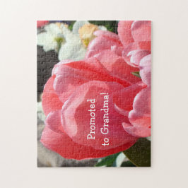 Aankondiging van zwangerschap bij grootmoeders puz legpuzzel