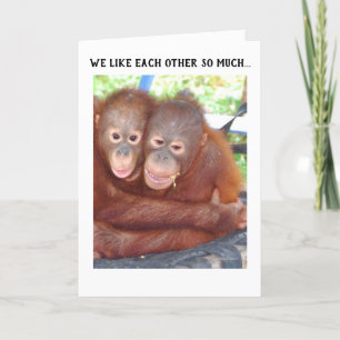 Aankondiging verloving