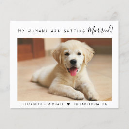 Aankondiging Verloving Pet Photo Budget