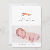 Aankondiging waterverf Fox Birth (Voorkant)