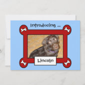 Aankondigingen van de hond adoptie of geboorte (ro (Voorkant)