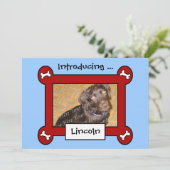 Aankondigingen van de hond adoptie of geboorte (ro (Staand voorkant)