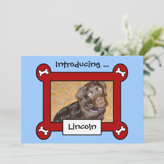 Aankondigingen van de hond adoptie of geboorte (ro (Staand voorkant)