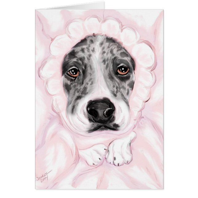 Aankondigingen van Great Dane Baby Mantled Merle G (Voorkant)