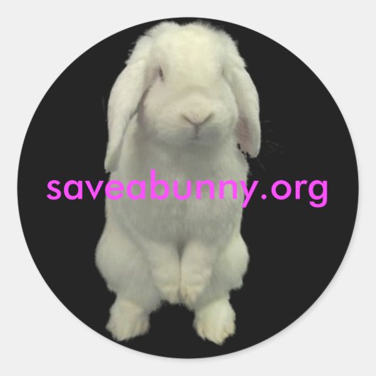 Aankruisen voor Bunnies Ronde Sticker (Voorkant)