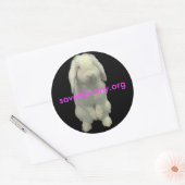 Aankruisen voor Bunnies Ronde Sticker (Envelop)
