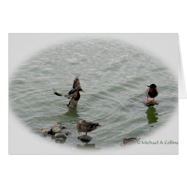 Aanlanding (Voorkant Horizontaal)