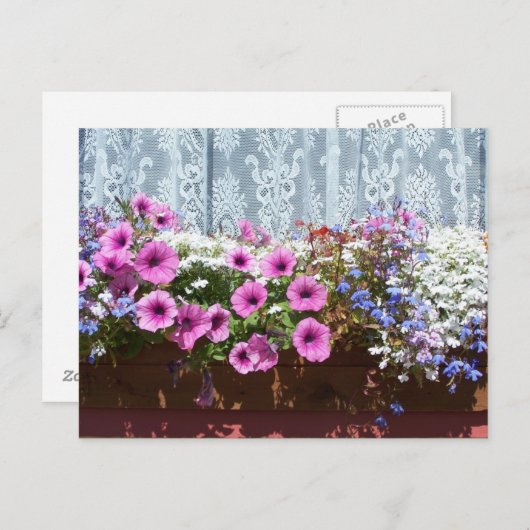  aanloopdoos briefkaart (Voorkant / Achterkant)