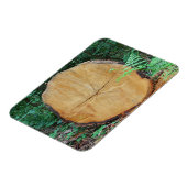 Aanmelden bij een bos magneet (Linkerzijde)