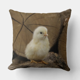 Aanmelden voor baby kussen