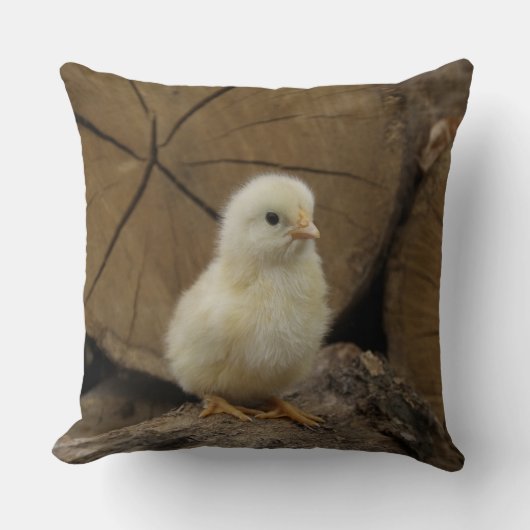 Aanmelden voor baby kussen (Voorkant)