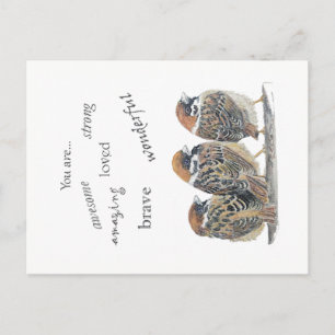 Aanmoedigende Ondersteunende Grappige Mus Vogel Briefkaart