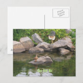 Aanmoediging Briefkaart (Voorkant / Achterkant)