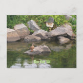 Aanmoediging Briefkaart (Voorkant)