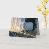 Aanmoediging, Cute Boerderij Scene in Sunlight Kaart (Gele Bloem)