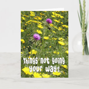 Aanmoediging - Funny Thistles Kaart