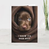 Aanmoediging / Get Well Schattige Chocolate Lab Do Kaart (Voorkant)