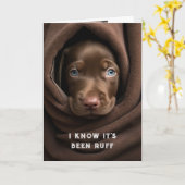 Aanmoediging / Get Well Schattige Chocolate Lab Do Kaart (Gele Bloem)