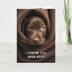 Aanmoediging / Get Well Schattige Chocolate Lab Do Kaart
