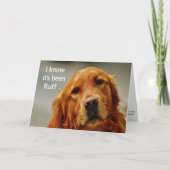 Aanmoediging/Goed Cute Golden Retriever Dog Kaart (Voorkant)
