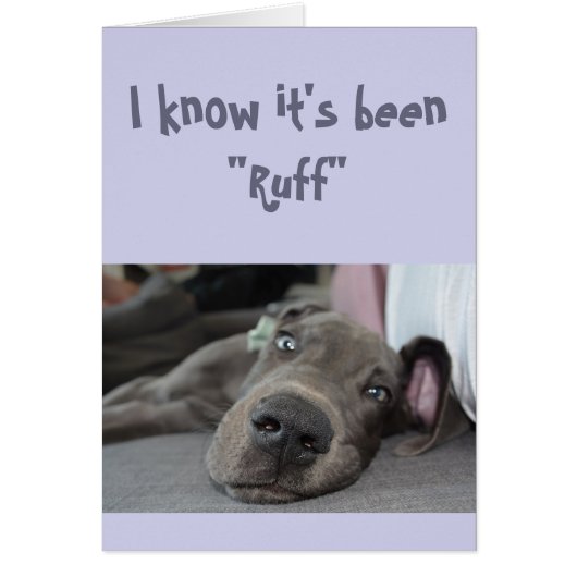 Aanmoediging/goed koken Grote Dane Dog (Voorkant)