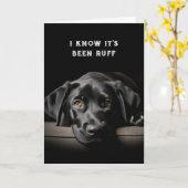 Aanmoediging/ Goed Schattige worden Black Labrador Kaart (Gele Bloem)