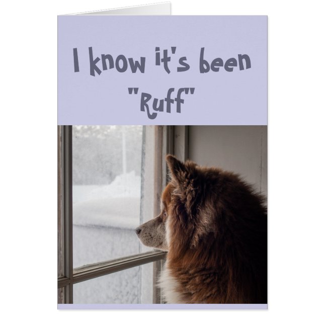 Aanmoediging/goed uitzicht op een uilkorf (Voorkant)