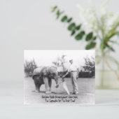 Aanmoediging - Olifanten spelen golf Briefkaart (Staand voorkant)