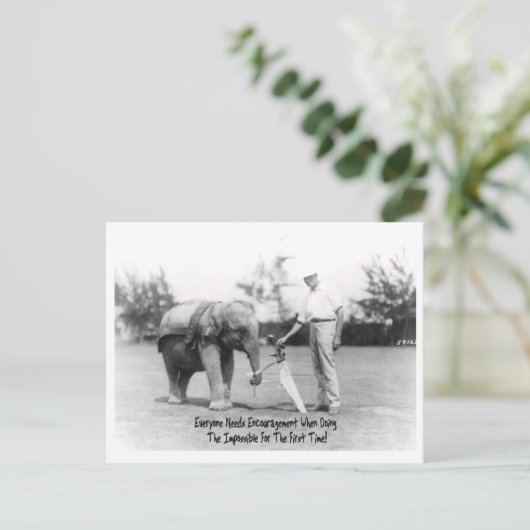 Aanmoediging - Olifanten spelen golf Briefkaart (Staand voorkant)