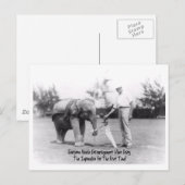 Aanmoediging - Olifanten spelen golf Briefkaart (Voorkant / Achterkant)