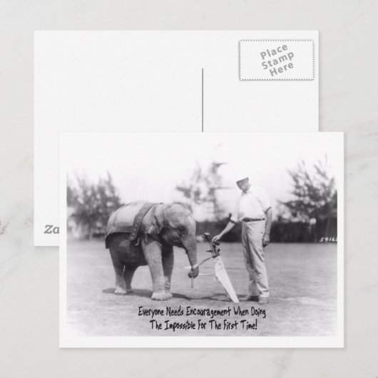 Aanmoediging - Olifanten spelen golf Briefkaart (Voorkant / Achterkant)