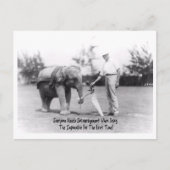 Aanmoediging - Olifanten spelen golf Briefkaart (Voorkant)