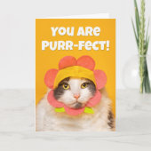 Aanmoediging Schattigee kat in Flower Pet Humor Feestdagen Kaart (Voorkant)