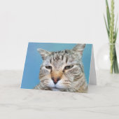 Aanmoediging van anonieme kattenkanker kaart (Voorkant)