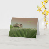 Aanmoediging van boomkikkers, denk ik dat je dat k kaart (Gele Bloem)