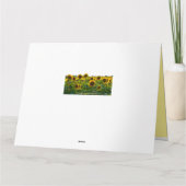 aanmoediging van zonnebloemvelden kaart (Achterkant)