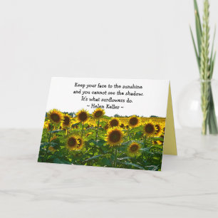 aanmoediging van zonnebloemvelden kaart