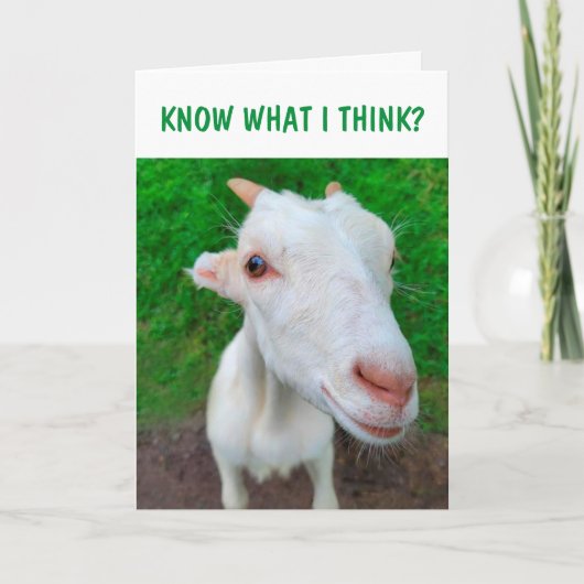 Aanmoediging voor gevogelte kaart (Voorkant)