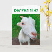 Aanmoediging voor gevogelte kaart (Gele Bloem)