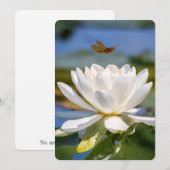 Aanmoedigingskaart: geen modder, geen lotus (Voorkant / Achterkant)
