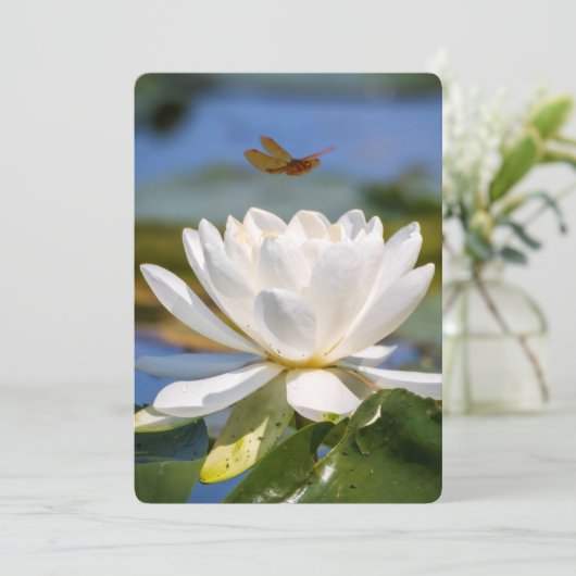 Aanmoedigingskaart: geen modder, geen lotus (Staand voorkant)