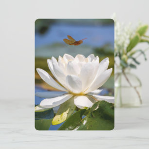 Aanmoedigingskaart: geen modder, geen lotus