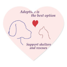 Aanneming is de beste optie