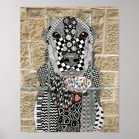 Aanneming van de hond van de dierencontainer poster (Voorkant)