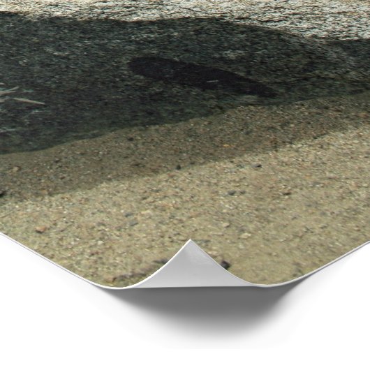 Aanpak van Kings Canyon Poster (Hoek)