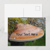 Aanpasbaar briefkaart voor racketschimmel (Voorkant / Achterkant)