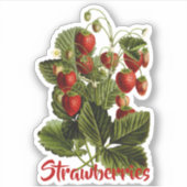 Aanpasbare aardbeien sticker (Voorkant)