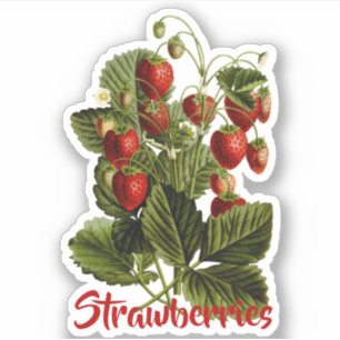 Aanpasbare aardbeien sticker