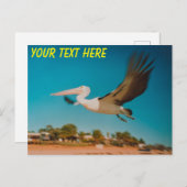 Aanpasbare Australische pelikaan Briefkaart (Voorkant / Achterkant)